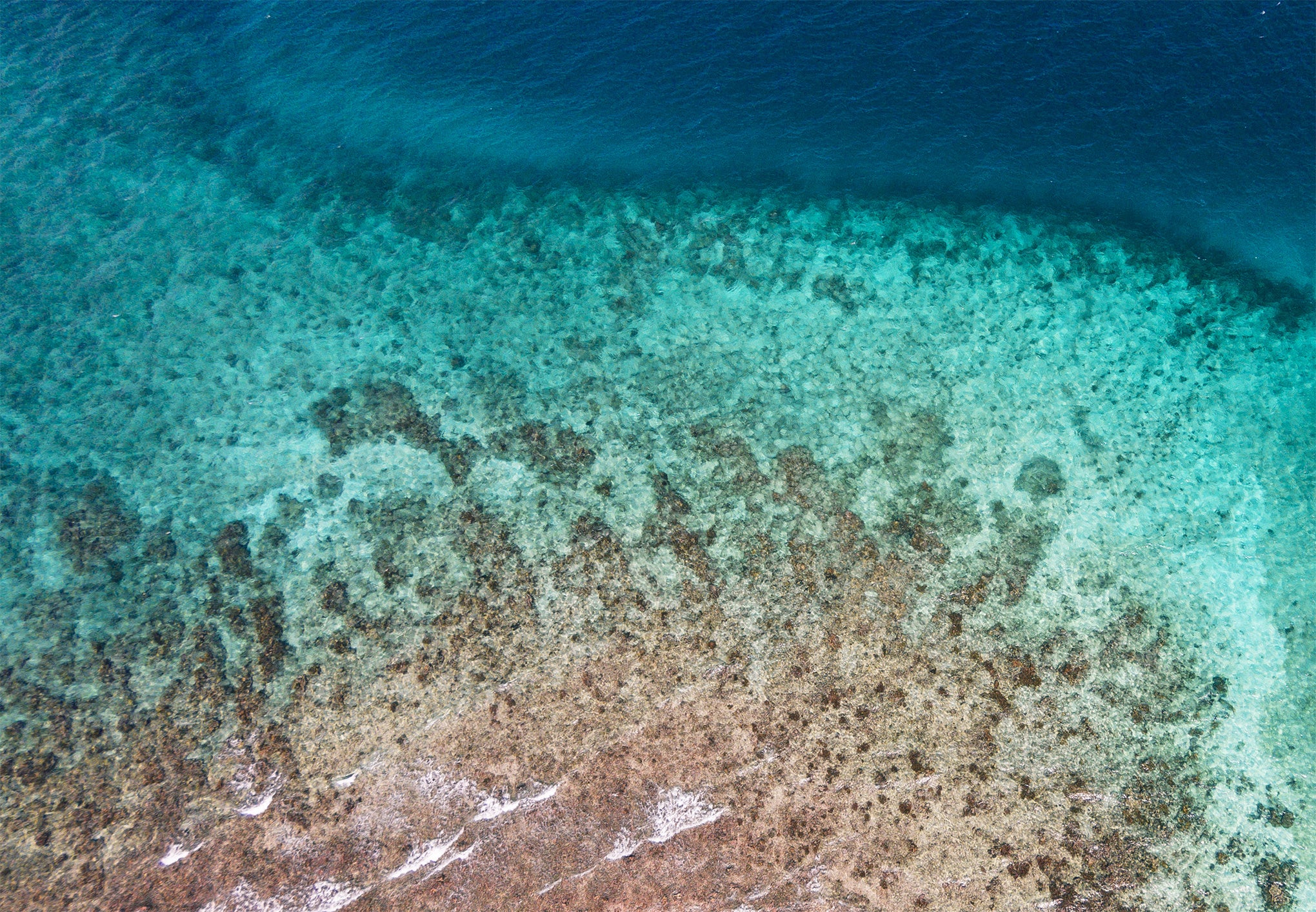 Home - Oceana Belize